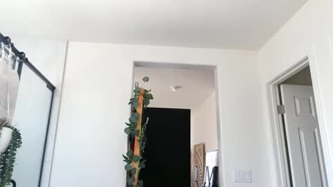 lovelyxmacii online show from 04/29/26, 06:47