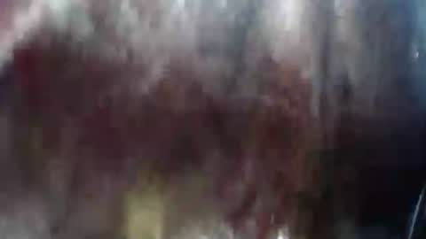 Mature lover2 online show from 02/21/25, 10:37