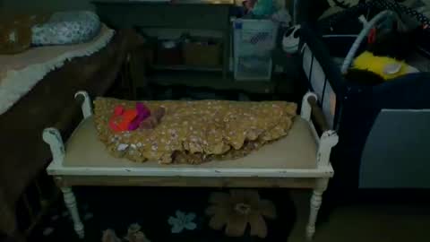 lovetubes101 online show from 09/19/25, 01:18