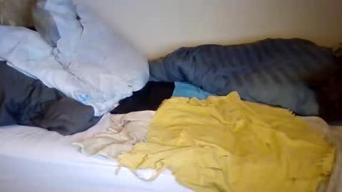 lu485947452685 online show from 12/19/25, 06:48