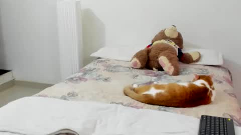 luara__01__lecat_1 online show from 02/08/26, 11:19