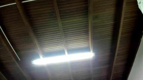 luca_morettii online show from 11/05/25, 12:16