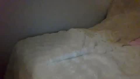 Luca online show from 12/26/24, 08:21