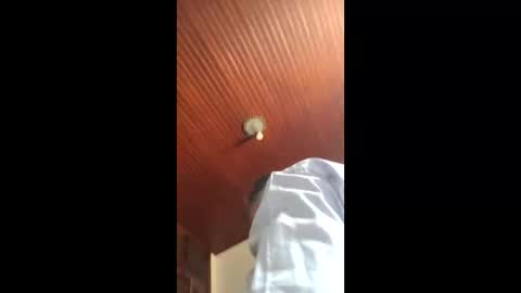 lucas online show from 01/16/26, 04:55