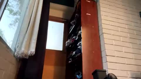 Snapshot of luchosaando chatting on 12/22/24, 11:52 Felipe online show from 12/22/24, 11:52