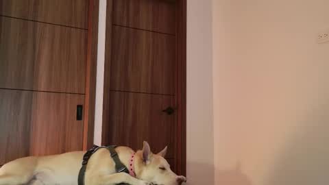 Snapshot of luci_fer15 chatting on 09/09/25, 01:49 Luci y Fer online show from 09/09/25, 01:49