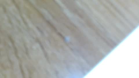 Snapshot of lucie_nicolls chatting on 12/13/24, 12:31 Lucie online show from 12/13/24, 12:31