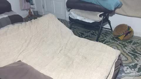 lucifer_curious online show from 02/12/26, 08:59