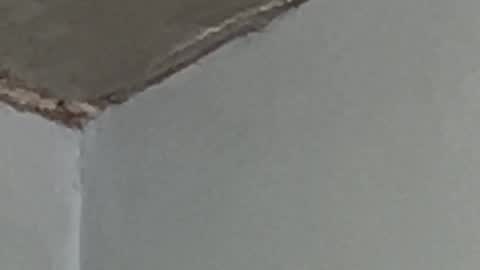 Snapshot of lucifermorningstar94 chatting on 09/17/25, 02:57 Lucien online show from 09/17/25, 02:57