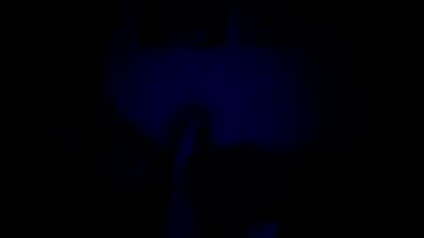 luffray online show from 02/09/26, 12:14