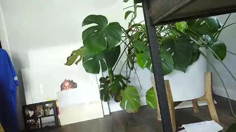 Luke online show from 03/15/26, 07:31