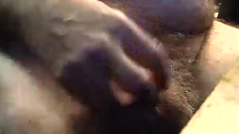 Snapshot of lukestarfckr chatting on 09/11/25, 09:20 lukestarfckr online show from 09/11/25, 09:20