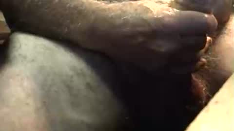 Snapshot of lukestarfckr chatting on 10/05/25, 05:50 lukestarfckr online show from 10/05/25, 05:50