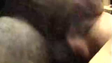 Snapshot of lukestarfckr chatting on 10/09/25, 09:40 lukestarfckr online show from 10/09/25, 09:40