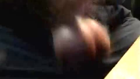 Snapshot of lukestarfckr chatting on 10/17/25, 04:53 lukestarfckr online show from 10/17/25, 04:53