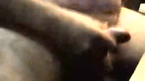 Snapshot of lukestarfckr chatting on 11/02/25, 09:22 lukestarfckr online show from 11/02/25, 09:22