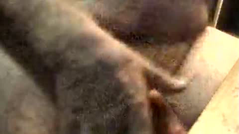 Snapshot of lukestarfckr chatting on 11/10/25, 09:19 lukestarfckr online show from 11/10/25, 09:19