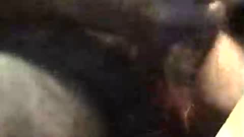 Snapshot of lukestarfckr chatting on 11/18/25, 05:34 lukestarfckr online show from 11/18/25, 05:34