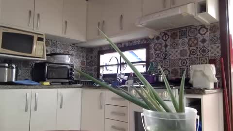 Snapshot of luksmen1 chatting on 02/18/25, 04:05 lucifer online show from 02/18/25, 04:05