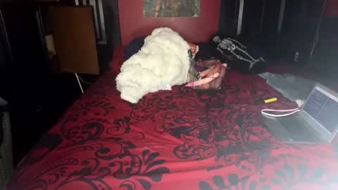 Lulu online show from 02/14/25, 04:09