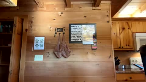 Connie online show from 01/02/25, 03:19