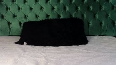 Snapshot of lumars_ chatting on 01/29/25, 01:37 Lumars online show from 01/29/25, 01:37