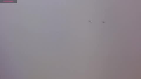 Snapshot of luna_naughty66 chatting on 11/17/25, 08:36 Luna and Rick online show from 11/17/25, 08:36