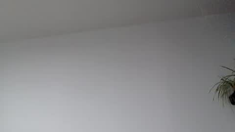 Lupine online show from 09/17/25, 08:38