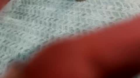 Snapshot of lust_4_daze chatting on 02/20/26, 12:49 lust_4_daze online show from 02/20/26, 12:49