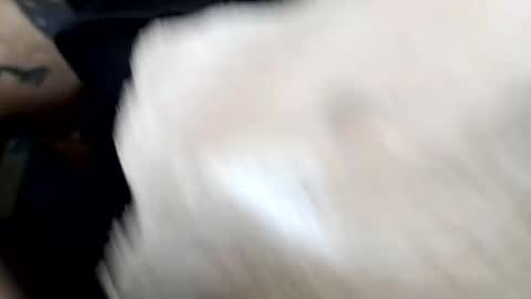 lust_khali online show from 02/01/26, 12:37