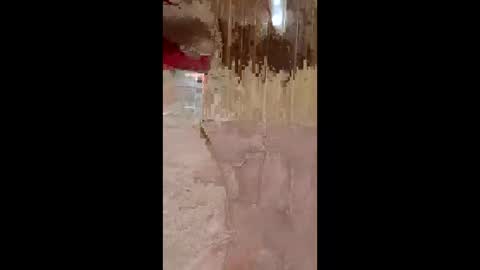 lustinaxxx online show from 12/14/25, 10:25