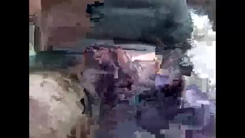 Snapshot of lutorres chatting on 11/16/25, 10:32 lutorres online show from 11/16/25, 10:32