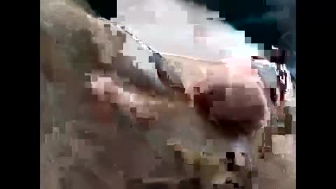 Snapshot of lutorres chatting on 11/22/25, 03:33 lutorres online show from 11/22/25, 03:33