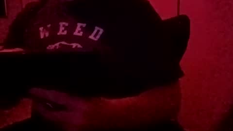 Snapshot of luv2toknstrok chatting on 11/03/25, 10:49 Luv2tokNstrok online show from 11/03/25, 10:49