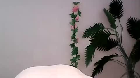 Bee Bee online show from 09/09/25, 01:38