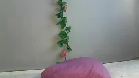 Bee Bee online show from 10/22/25, 02:34