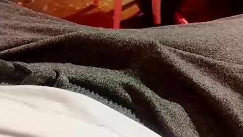 Lvac11 online show from 12/21/24, 10:30