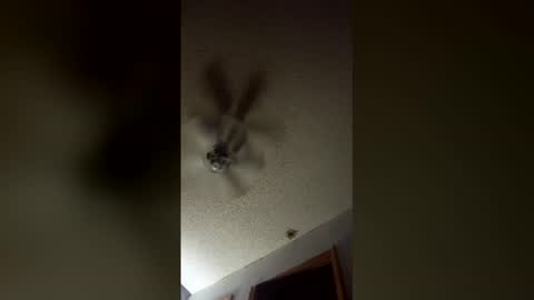 lvckthegoat online show from 03/12/26, 08:09