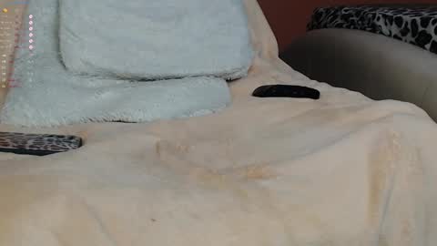 Palma online show from 01/18/25, 09:02