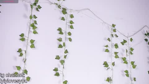 Lyly   online show from 01/13/26, 05:46