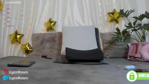 Lynx Rosen online show from 01/17/25, 09:06