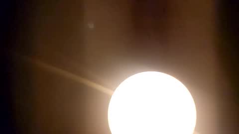 Snapshot of m1guele chatting on 02/02/25, 03:10 Fucklover online show from 02/02/25, 03:10