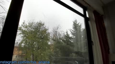 Ariana online show from 12/06/24, 11:44