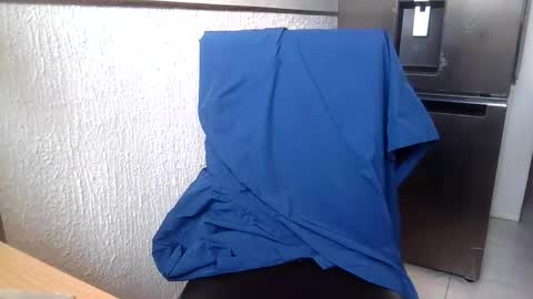 NiceDick online show from 11/27/25, 04:42