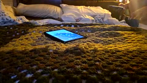 MARCUSNYX online show from 04/06/26, 06:47