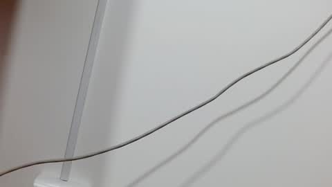 Maddy UwU online show from 12/21/24, 12:16