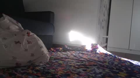 Julia online show from 03/30/26, 02:01