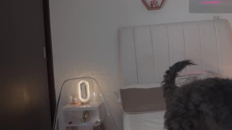 Valentina   1030   530  -  online show from 02/14/26, 06:21