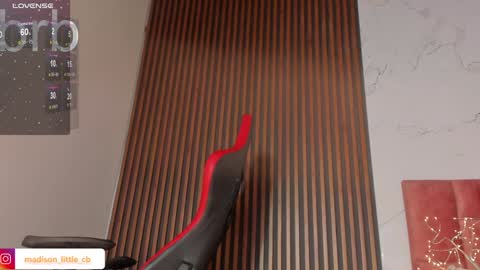 Snapshot of madison_little chatting on 01/31/25, 04:06 Melissa 700 1400 -5 online show from 01/31/25, 04:06