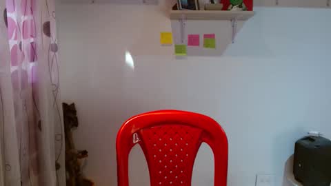 Madison Cambel online show from 01/29/25, 10:11